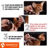 Natural Flea Tick Collar for Cats 6 Months Control of Best Prevention Safe Treatment Anti Fleas and Ticks Essential Oil Repellent 1 Pack