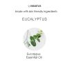 Calming Eucalyptus Shower Spray ‚Äì 4oz Aromatherapy Shower Steamer Mist for Relaxation & Stress Relief ‚Äì All-Natural Essential Oils for a Spa-Like