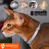 Natural Flea Tick Collar for Cats 6 Months Control of Best Prevention Safe Treatment Anti Fleas and Ticks Essential Oil Repellent 1 Pack